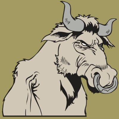 AR5 BULL 08 RQC Thumbnail