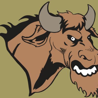 AR5 BULL 09 RQC Thumbnail