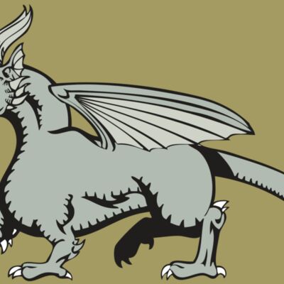 BAW DRAGON 20 RC Thumbnail