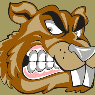 BEAVER HD0503 RQC Thumbnail