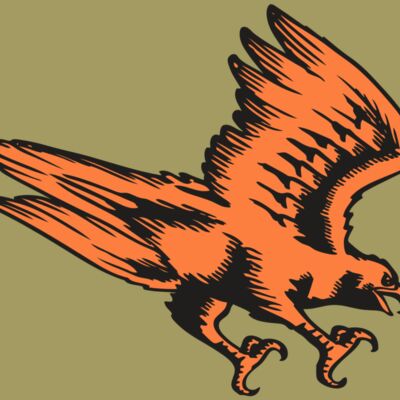 BAW HWK FLCN 04 RC Thumbnail