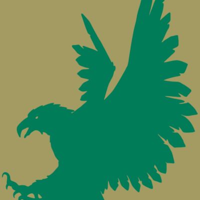 AR EAGLE 88 RC Thumbnail