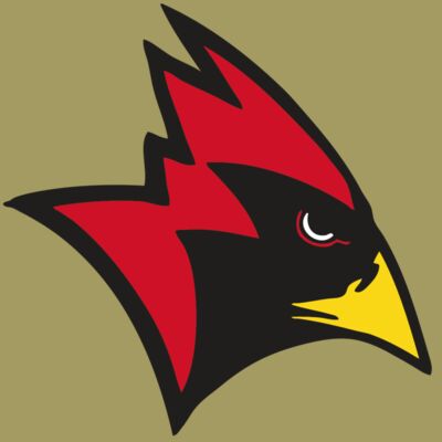 AR CARDINAL 23 RC Thumbnail