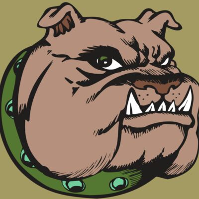 BAW BULLDOG 14 RC Thumbnail