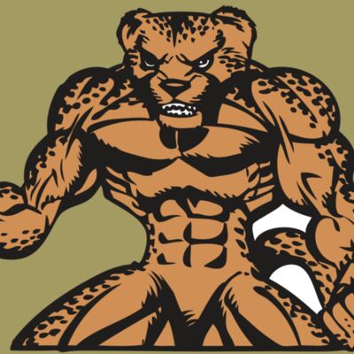 BAW CHEETAH 07 RC Thumbnail