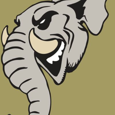 AR5 Elephant 11 RQC Thumbnail