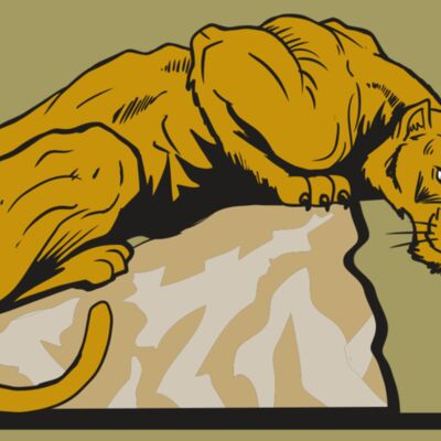 AR10 PANTHER 01 RQC Thumbnail