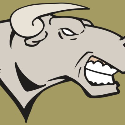 AR BULL 18 RC Thumbnail