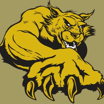 AR WILDCAT 26 RC Thumbnail