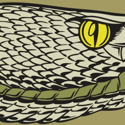 BAW SNAKE 03 RC Thumbnail