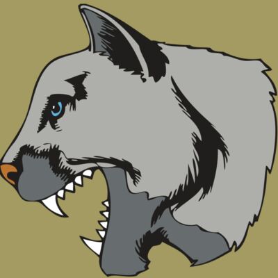 BAW COUG PANTH 15 R Thumbnail