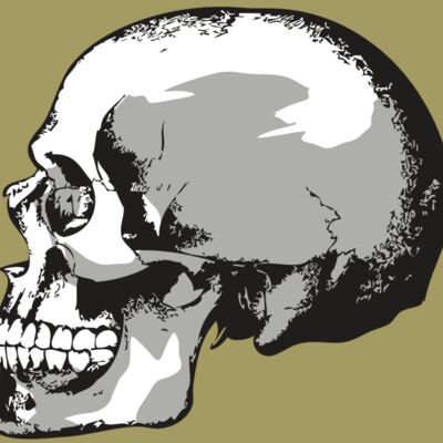 AR24 SKULL 02 RQC Thumbnail