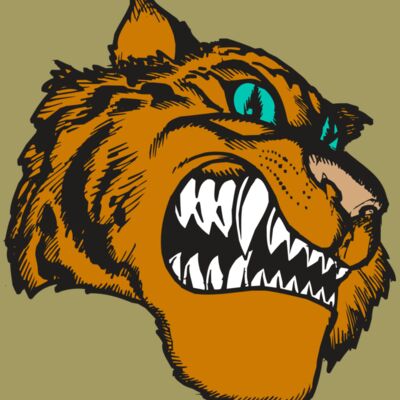 BAW TIGER 11 RC Thumbnail