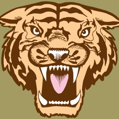 BAW TIGER 05 RC Thumbnail