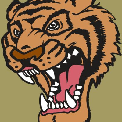 AR TIGER 12 RC Thumbnail