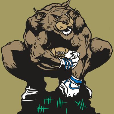 AR WILDCAT 34 RC Thumbnail