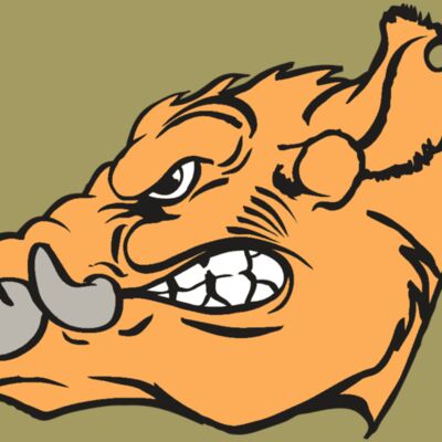 AR RAZORBACK 27 RC Thumbnail