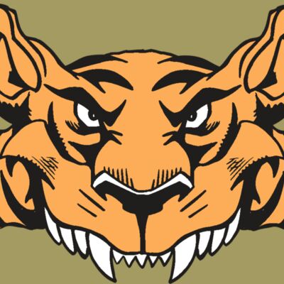 AR5 Tiger 07 RQC Thumbnail