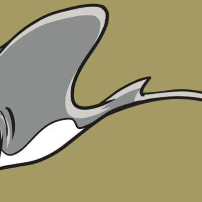 AR19 STINGRAY 01 RQC Thumbnail