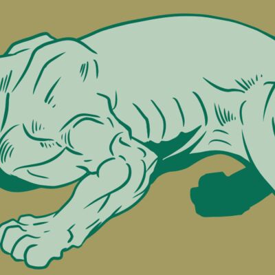 AR10 PANTHER 05 RQC Thumbnail