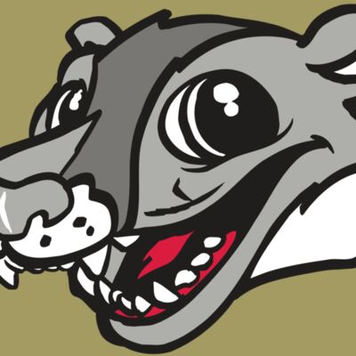 AR WOLVERINE 12 RC Thumbnail