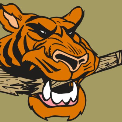 AR5 Tiger 11 RQC Thumbnail