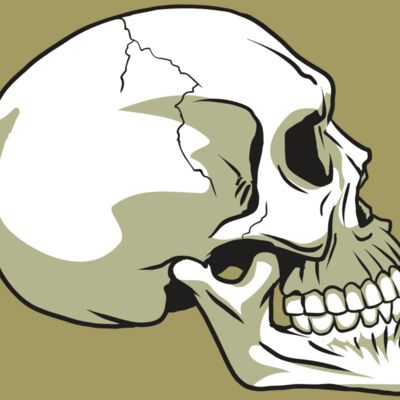 AR24 SKULL 12 RQC Thumbnail