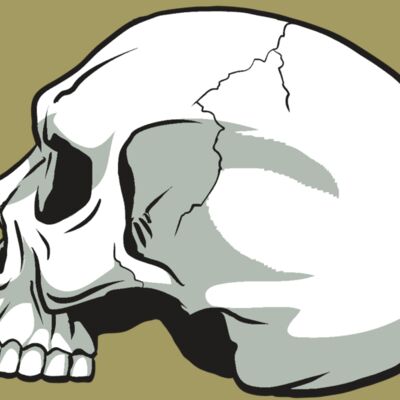 AR24 SKULL 11 RQC Thumbnail