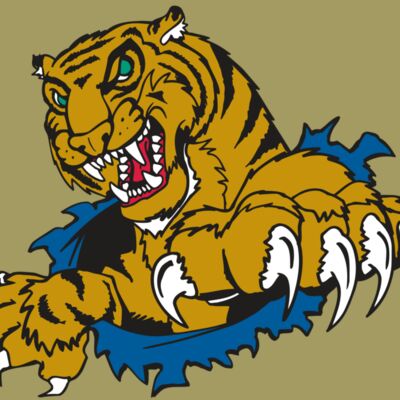 AR TIGER 69 RC Thumbnail