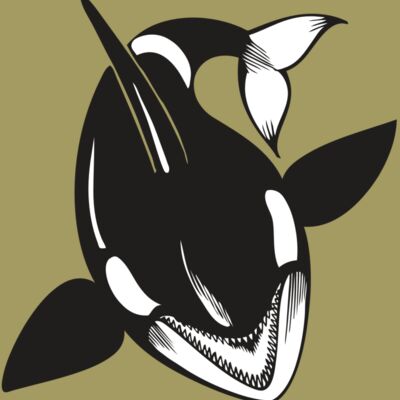 BAW KLRWHALE 01 RC Thumbnail