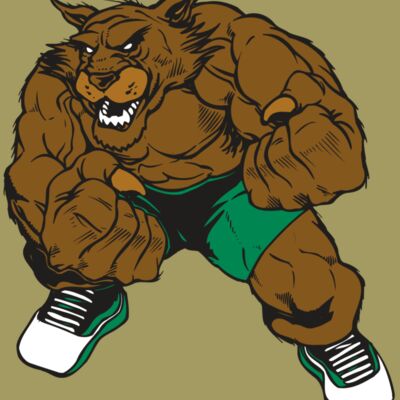 AR WILDCAT 45 RC Thumbnail