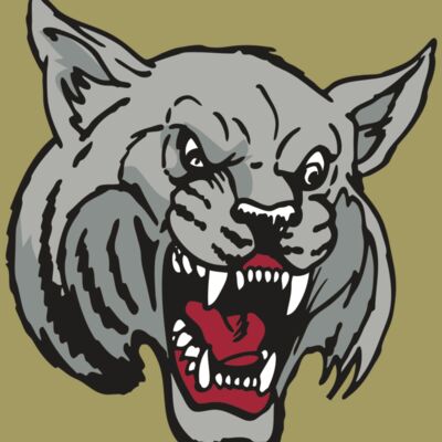 AR WILDCAT 42 RC Thumbnail