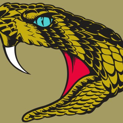 BAW SNAKE 16 RC Thumbnail