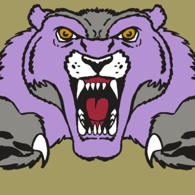 AR WOLVERINE 17 RC Thumbnail