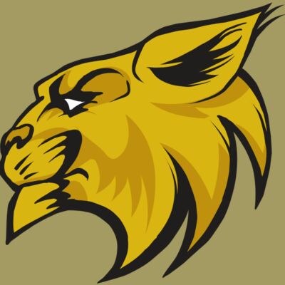 AR30 WILDCAT 02 RQC Thumbnail