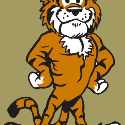 AR TIGER 91 RC Thumbnail