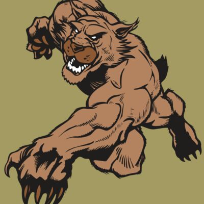 AR WILDCAT 47 RC Thumbnail