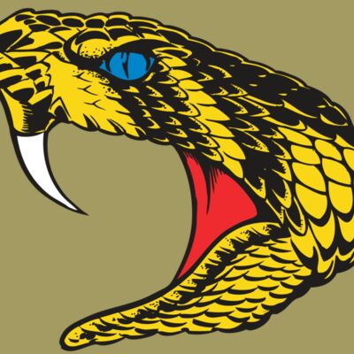 BAW SNAKE 06 RC Thumbnail