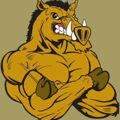 AR5 Razorback 17 RQC Thumbnail