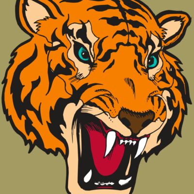 BAW TIGER 12 RC Thumbnail