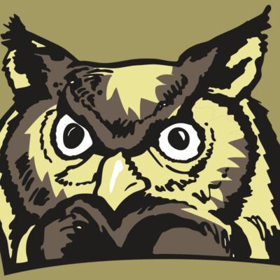 AR OWL 10 RC Thumbnail