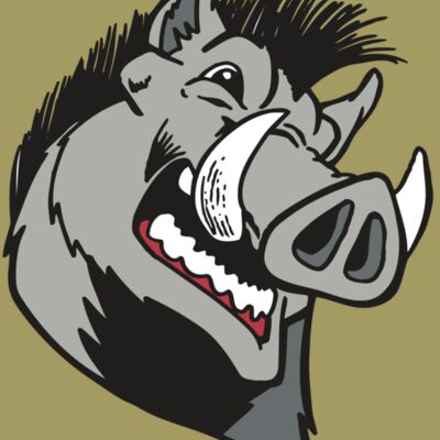 AR RAZORBACK 15 RC Thumbnail