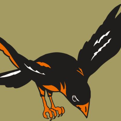 AR ORIOLE 16 RC Thumbnail