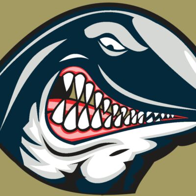 WHALE HD0501 RQC Thumbnail