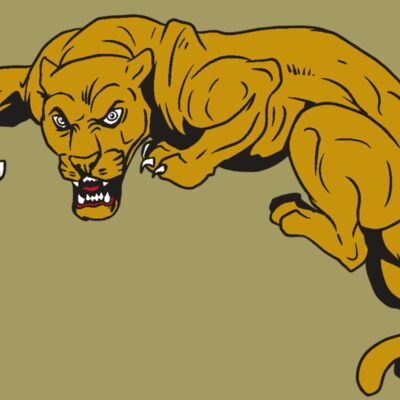 AR10 PANTHER 02 RQC Thumbnail