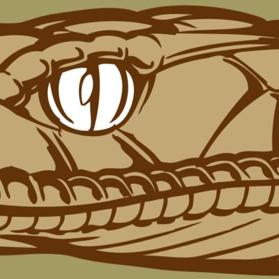 BAW SNAKE 12 RC Thumbnail