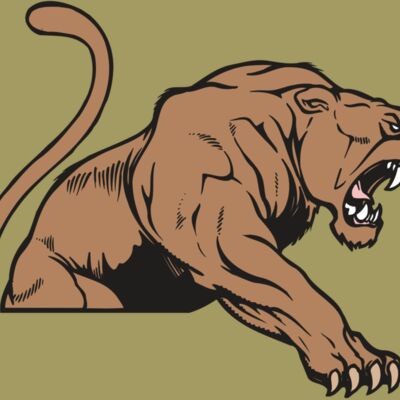 AR COUGAR 55 RC Thumbnail