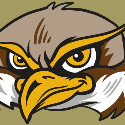 AR12 OWL 02 RQC Thumbnail