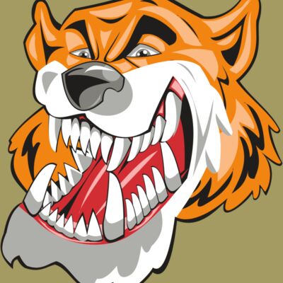 TIGER HD0504 RQC Thumbnail