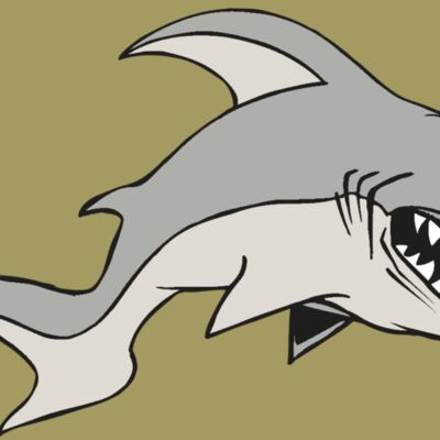 AR5 Shark 10 RQC Thumbnail